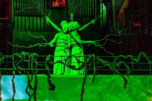 «Голоса земли и воды». Органный перформанс